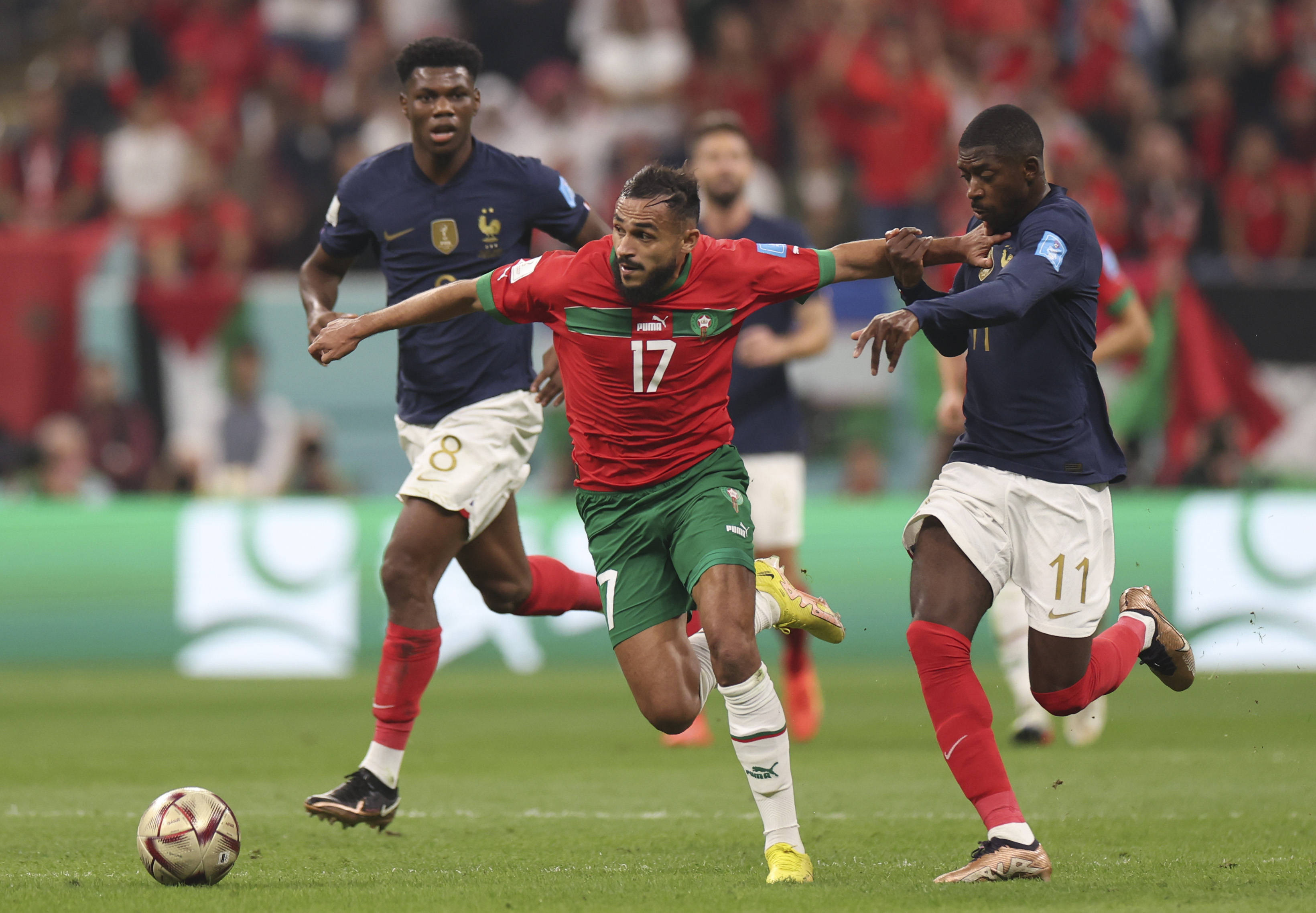 你要我继续 你要我继续